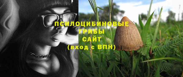 прущий лед Абаза
