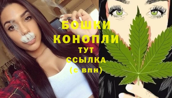 PSILOCYBIN Алексеевка