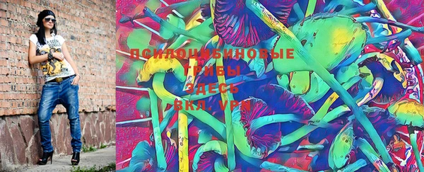 PSILOCYBIN Алексеевка