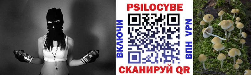 Псилоцибиновые грибы мухоморы цена Далматово